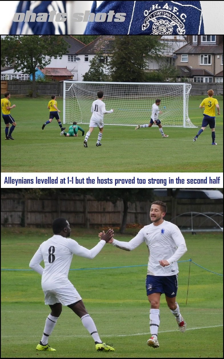 14.action shots2.jpg